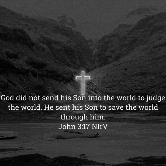 Meet your Posher, Darci - Picture 3 of 4